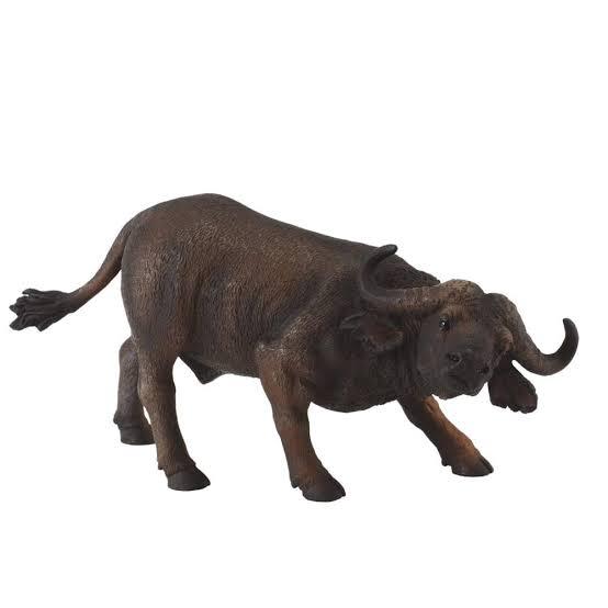 Animal Figures 5