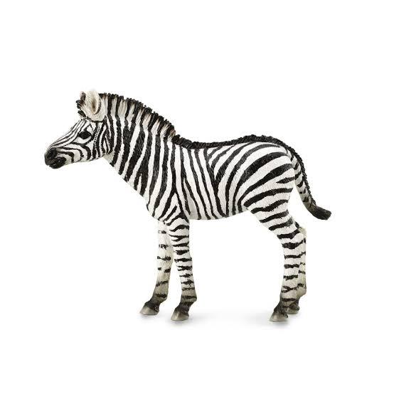 Animal Figures 1