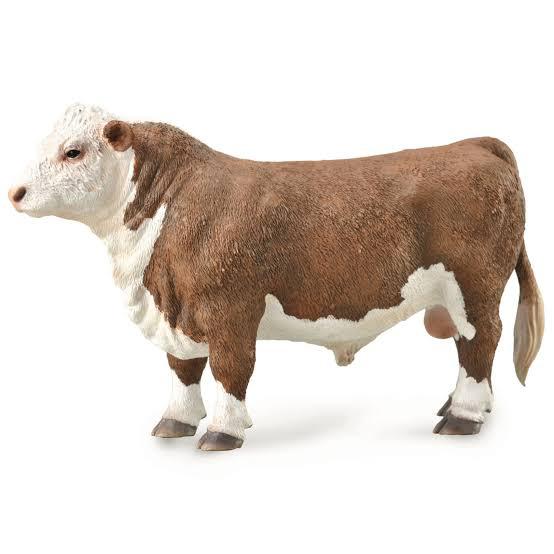 Animal Figures 4