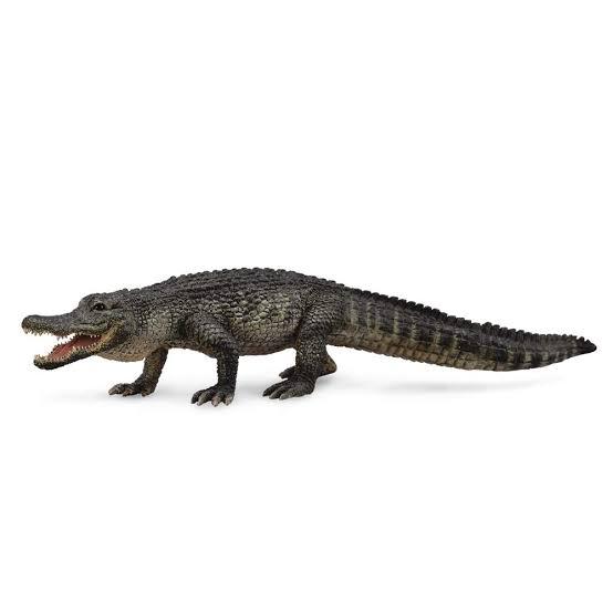 Animal Figures 4