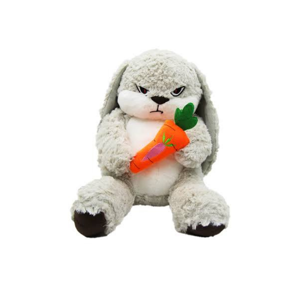 Rabbit Soft Toys 30 CM