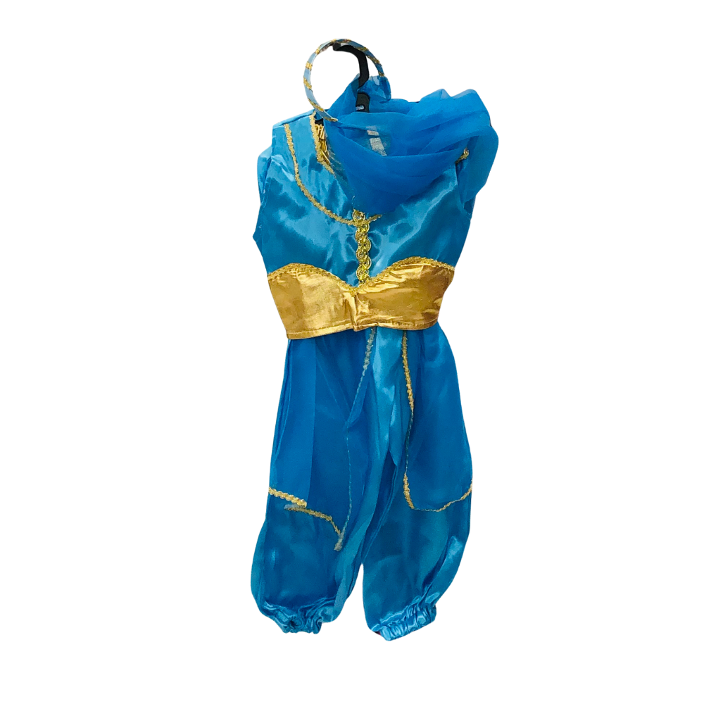 Costume Clothes