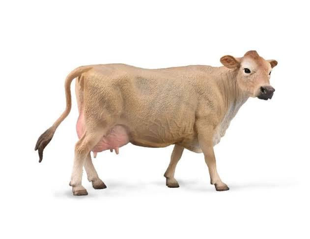 Animal Figures 2