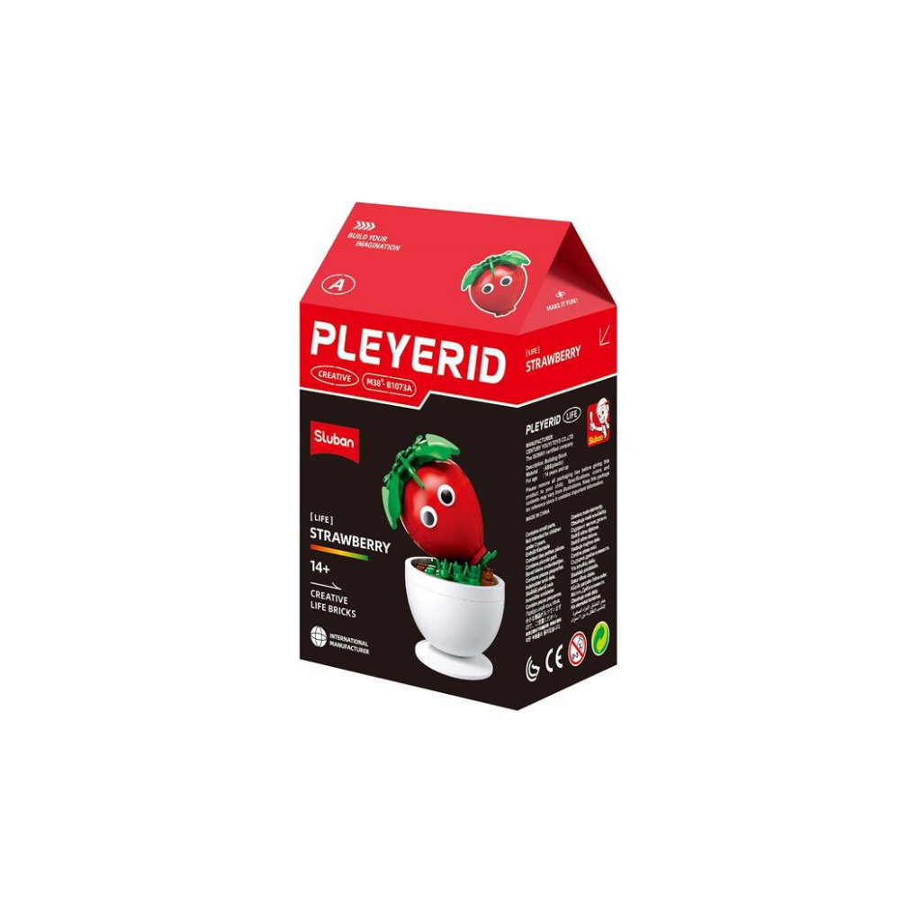 Pleyerid Creative Life Bricks Lego