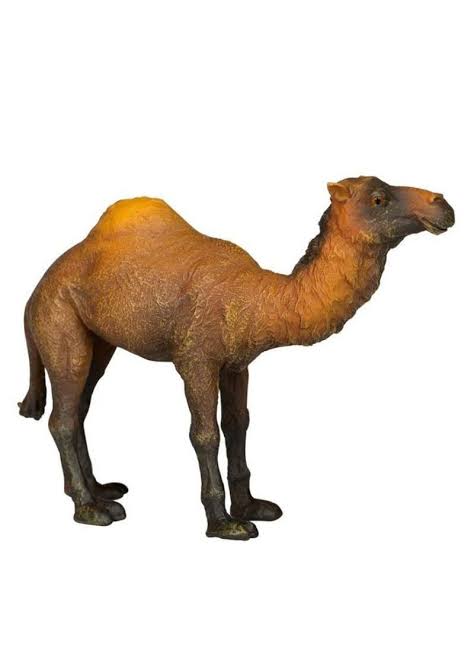 Animal Figures 2