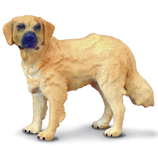 Animal Figures 5