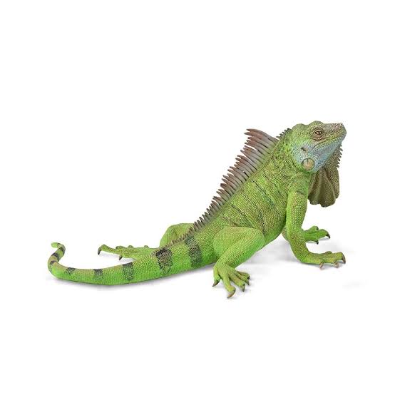 Animal Figures 5