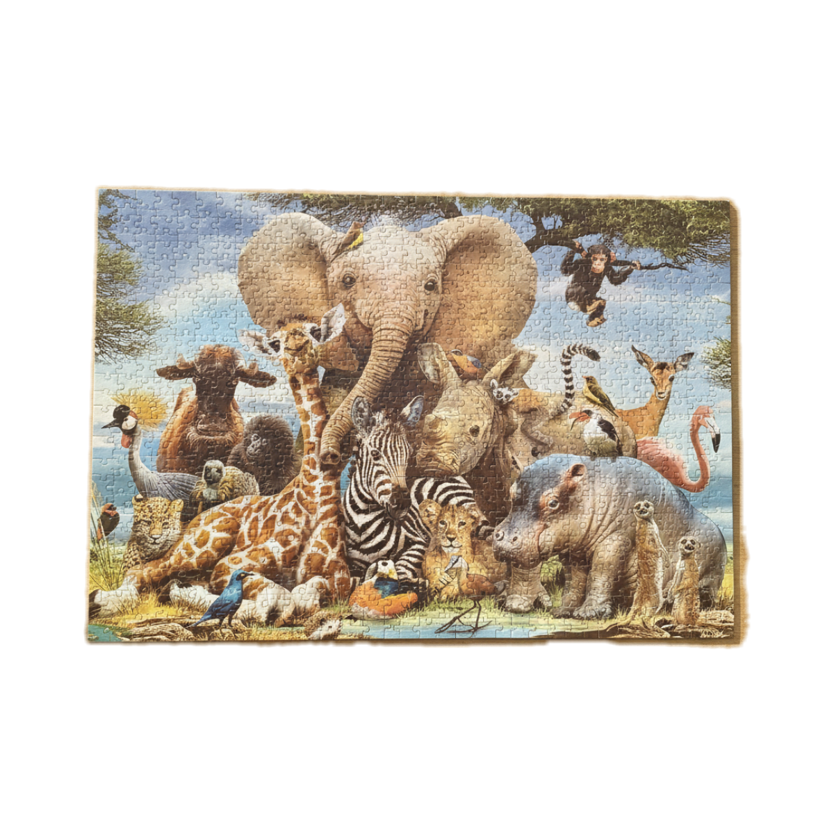 Jigsaw Puzzle 1000 PCS - Safari Wildlife Animals
