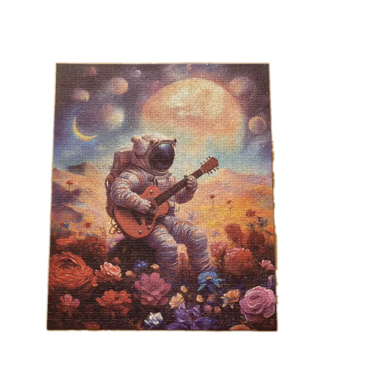 Silky Touch 500 Piece Art Puzzle