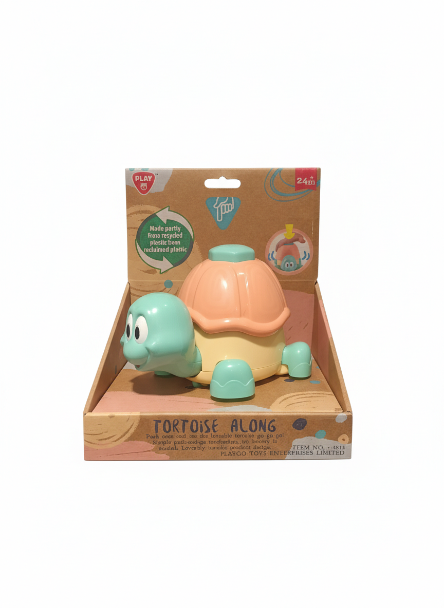 TORTOISE ALONG
