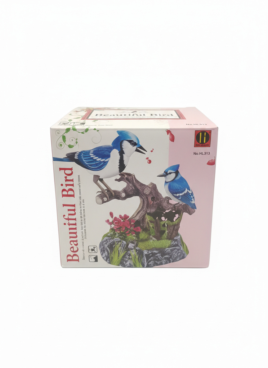 The Ensemble Birds Beautiful Bird