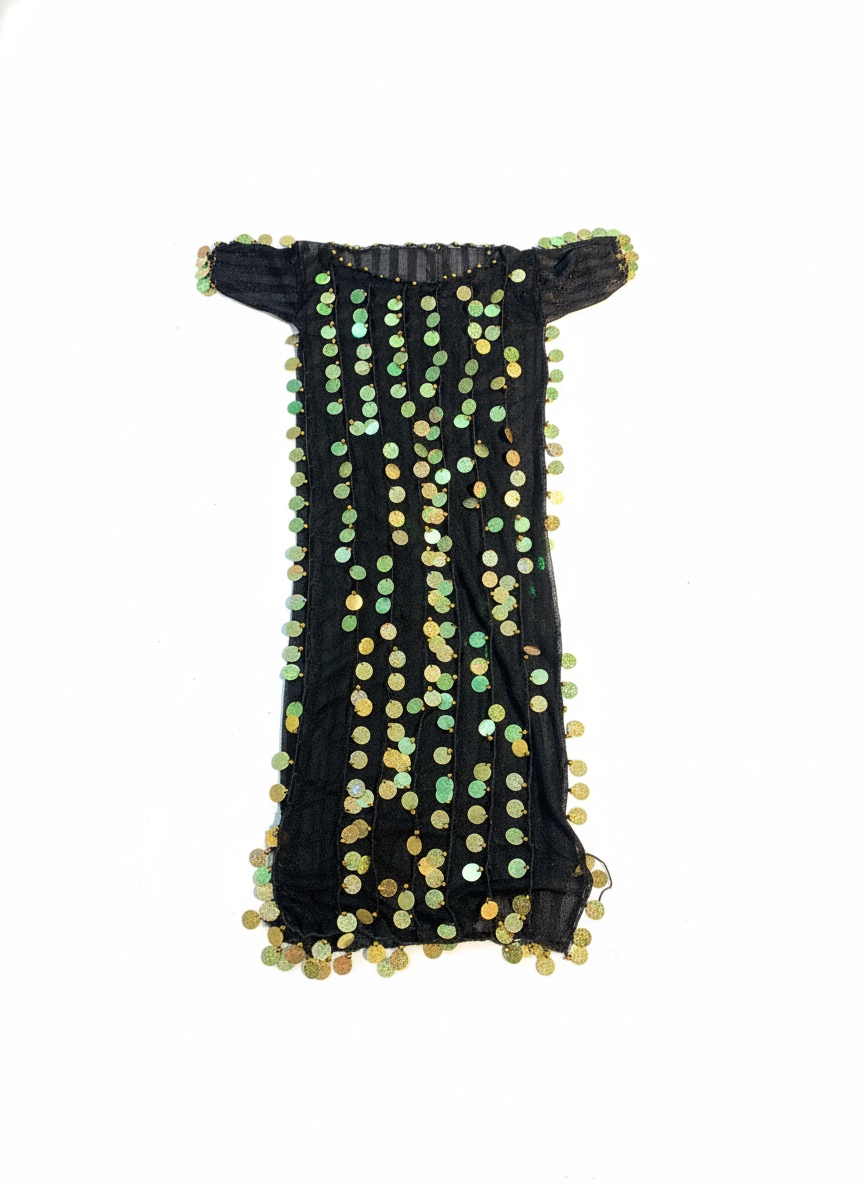 Black Sequin Mesh Costume Dress