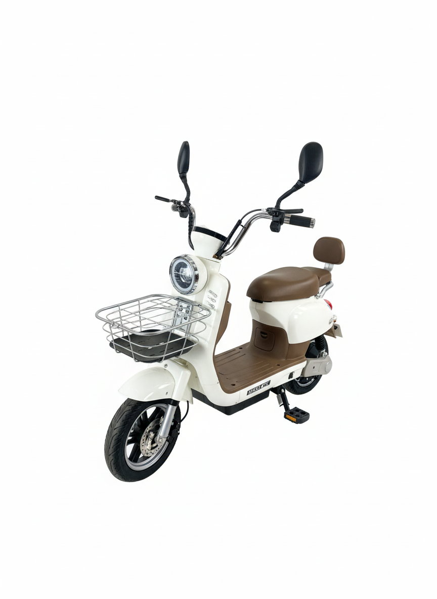 Scooter Electric 500W