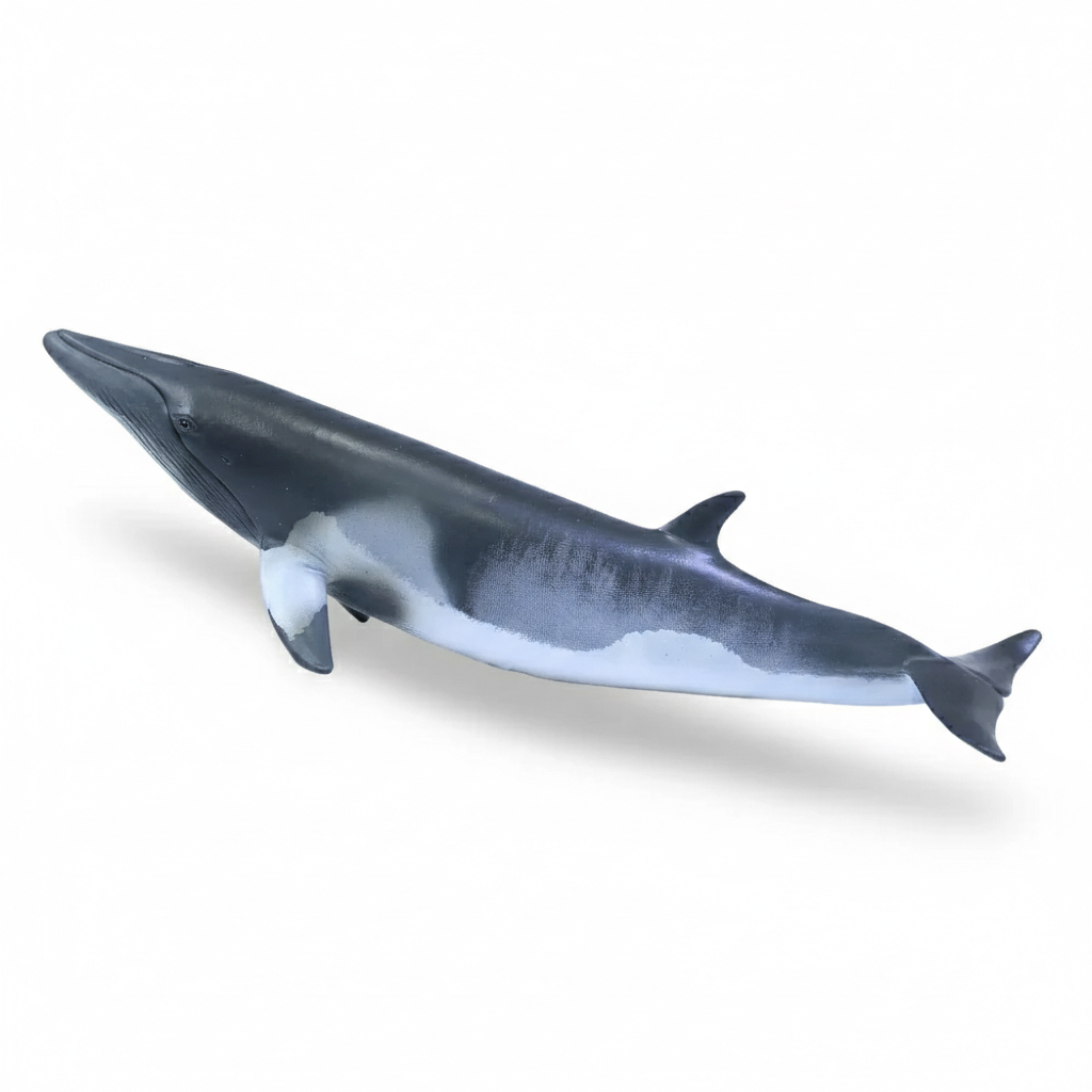 Animal Figures - Minke Whale