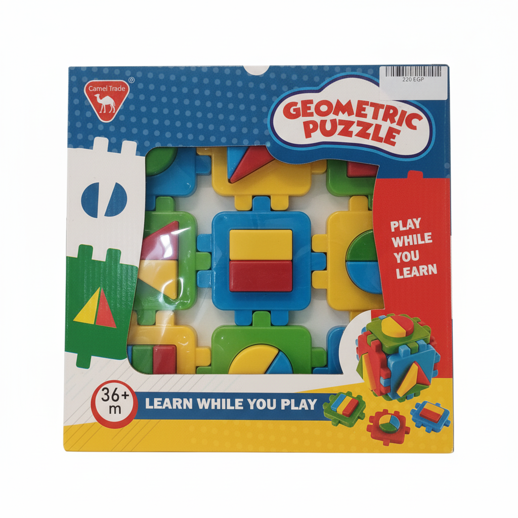 Geometric Puzzle