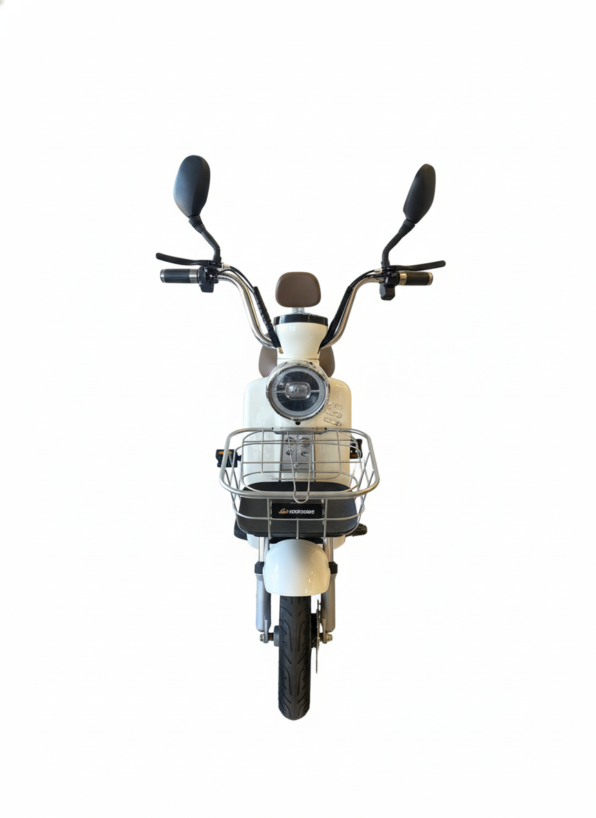 Scooter Electric 500W