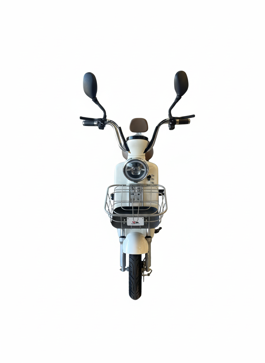 Scooter Electric 500W