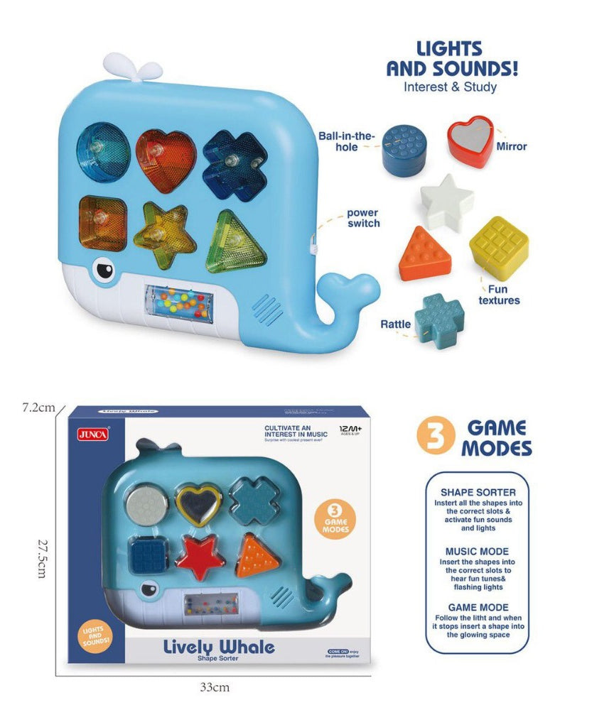 Perform Music Shape Sorter Light Sounds Cultivate An Interest In Music