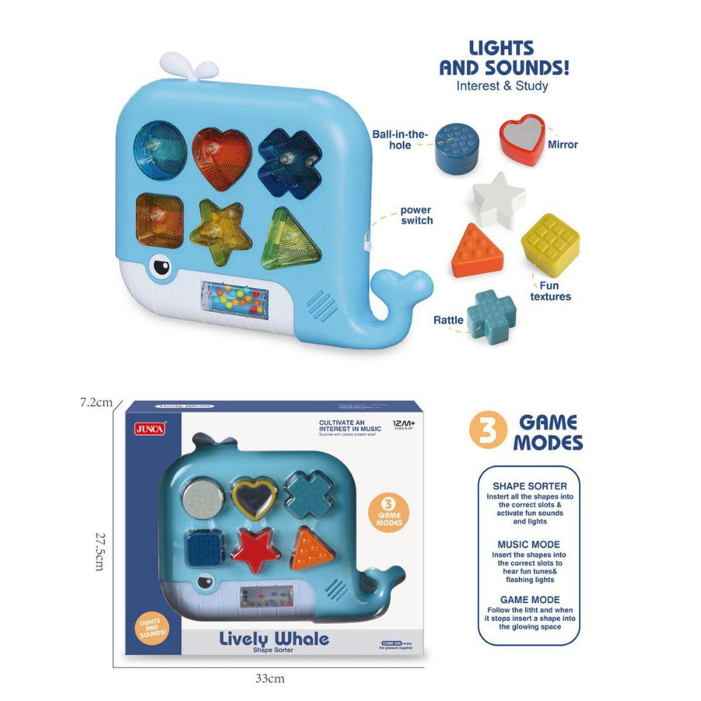 Perform Music Shape Sorter Light Sounds Cultivate An Interest In Music