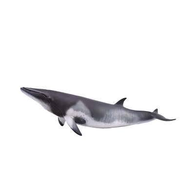 Animal Figures 4