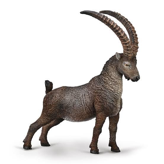 Animal Figures 4