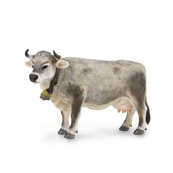 Animal Figures 4