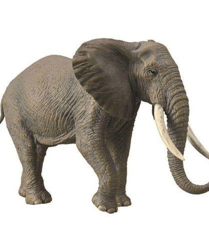 Animal Figures 4