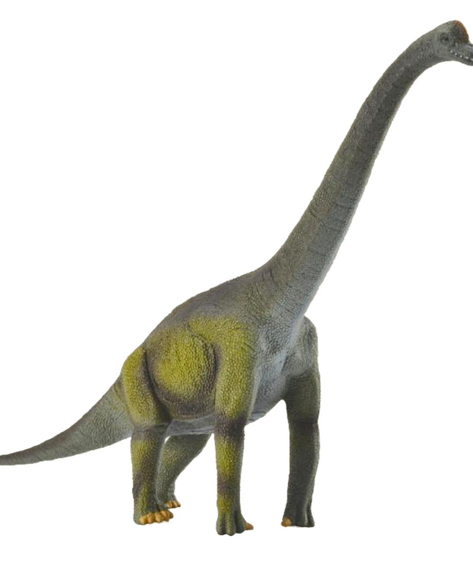 Animal Figures 5