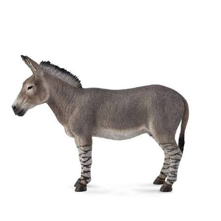 Animal Figures 3