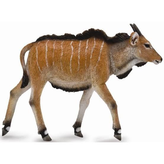 Animal Figures 2
