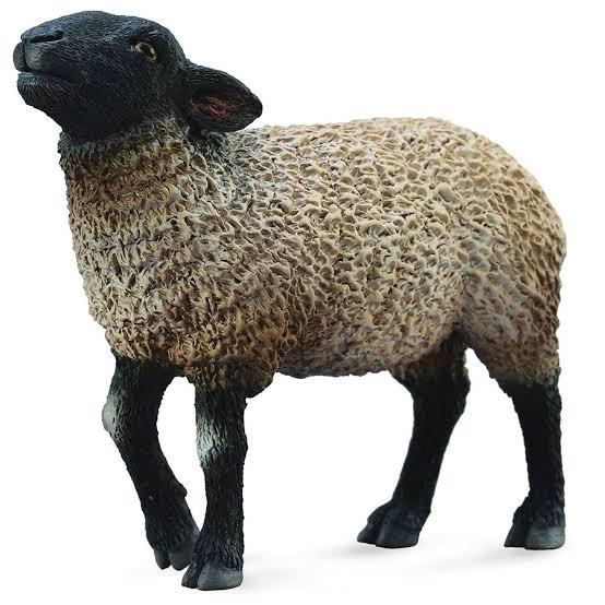Animal Figures 3