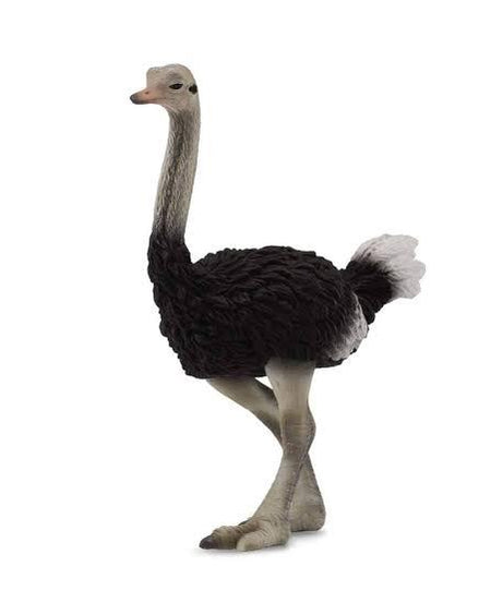 Animal Figures 2