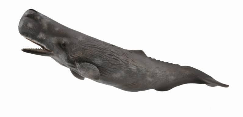 Animal Figures 5