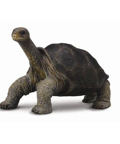 Animal Figures 4