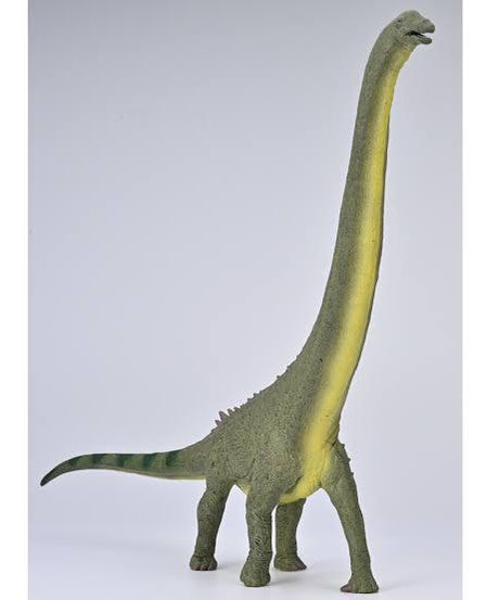Animal Figures 5