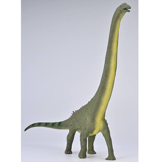 Animal Figures 5