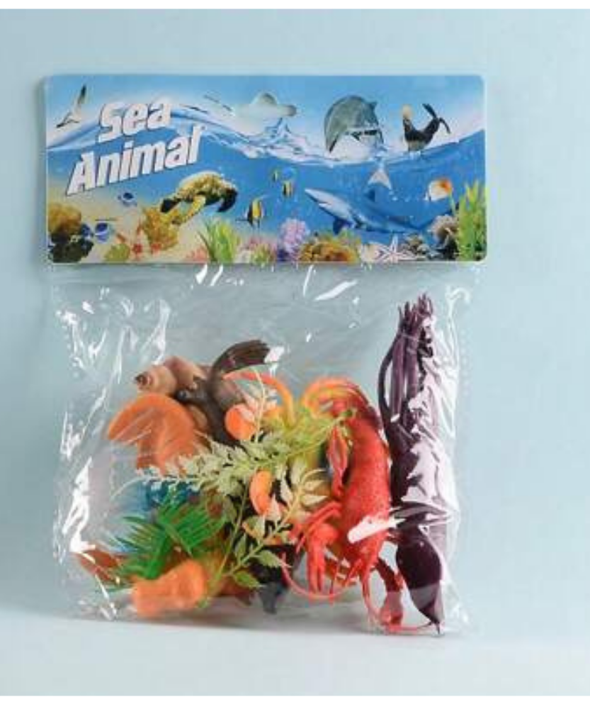 Sea Animal