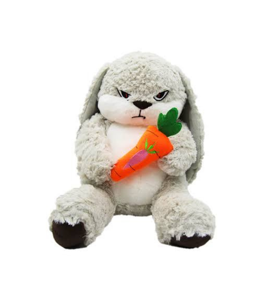 Rabbit Soft Toys 30 CM