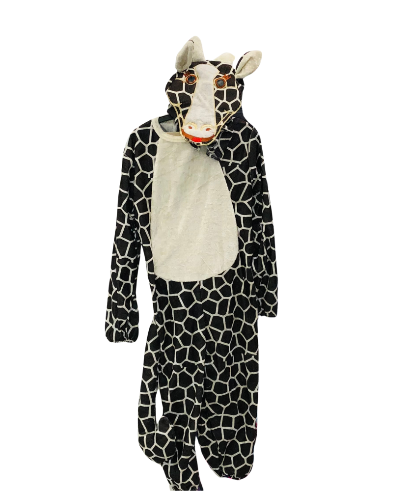 Costume Clothes