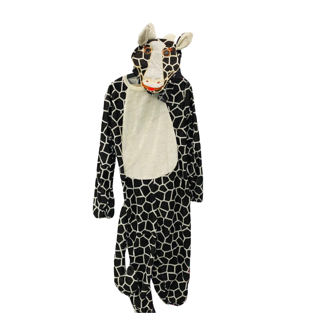 Costume Clothes