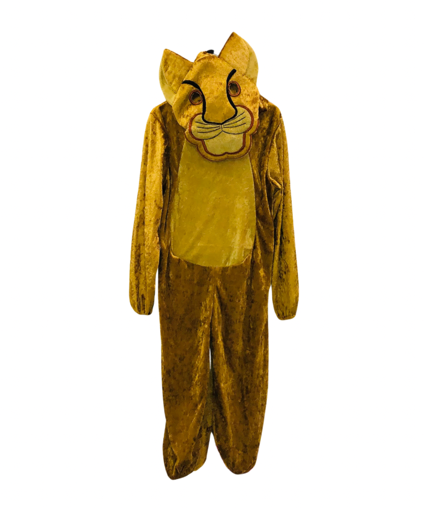 Costume Clothes