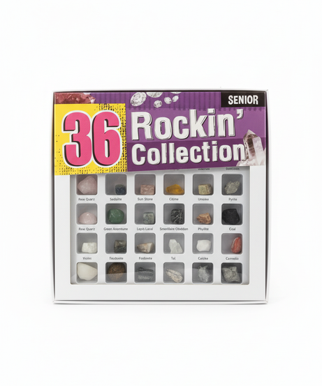 36 Rockin' Collection Senior