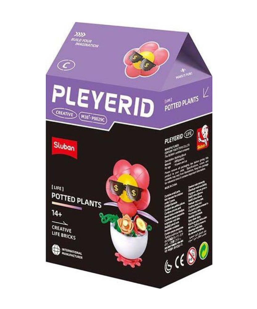 Pleyerid Creative Life Bricks Lego