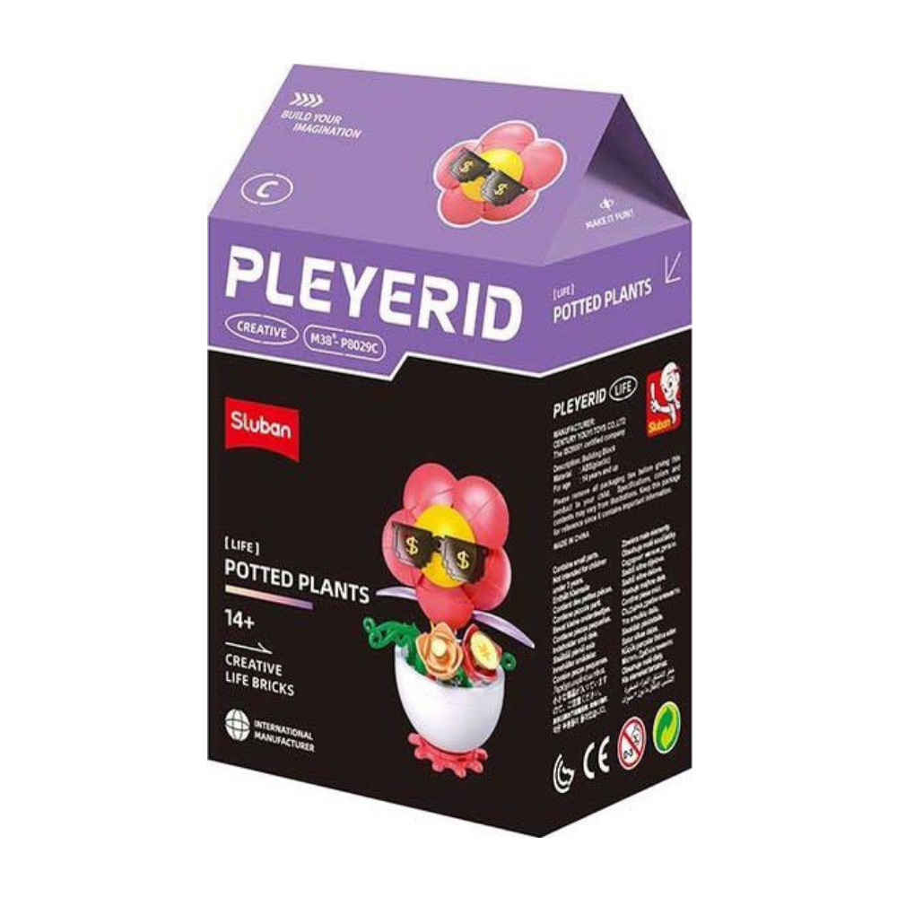Pleyerid Creative Life Bricks Lego
