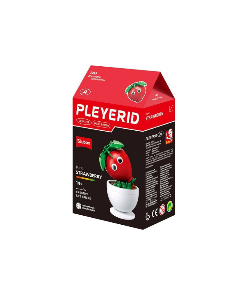 Pleyerid Creative Life Bricks Lego