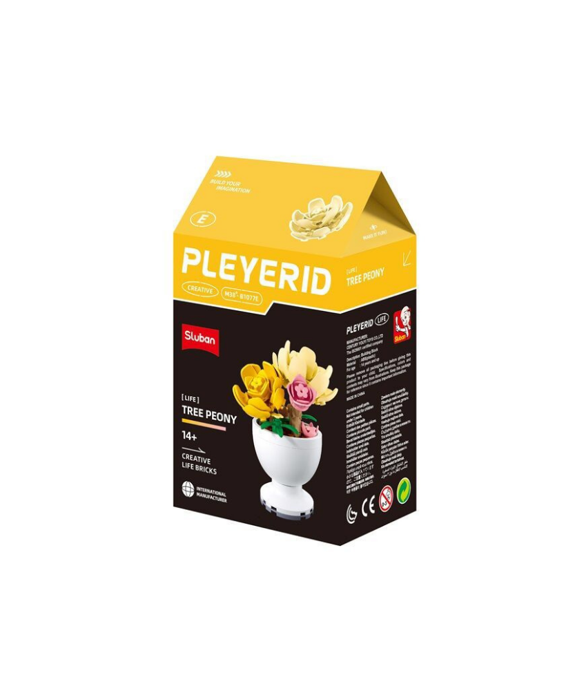 Pleyerid Creative Life Bricks Lego