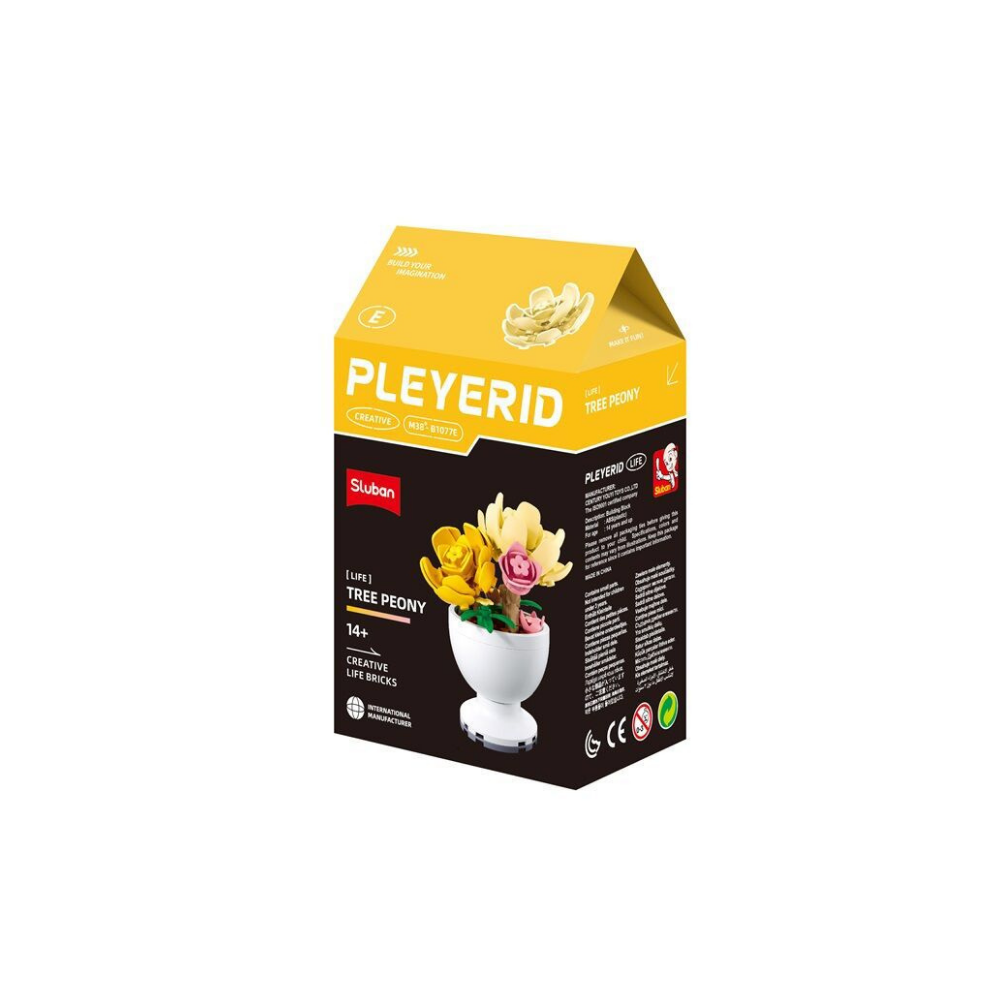 Pleyerid Creative Life Bricks Lego