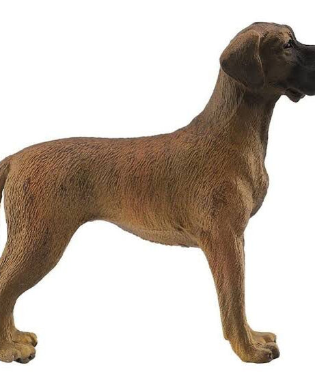 Animal Figures 1