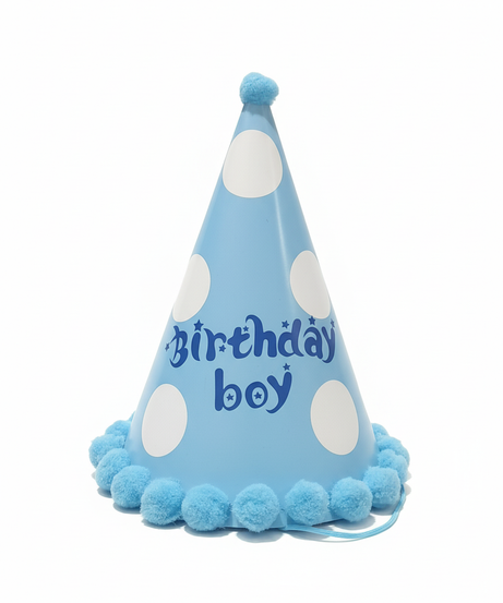 Birthday Boy Celebration Party Hat