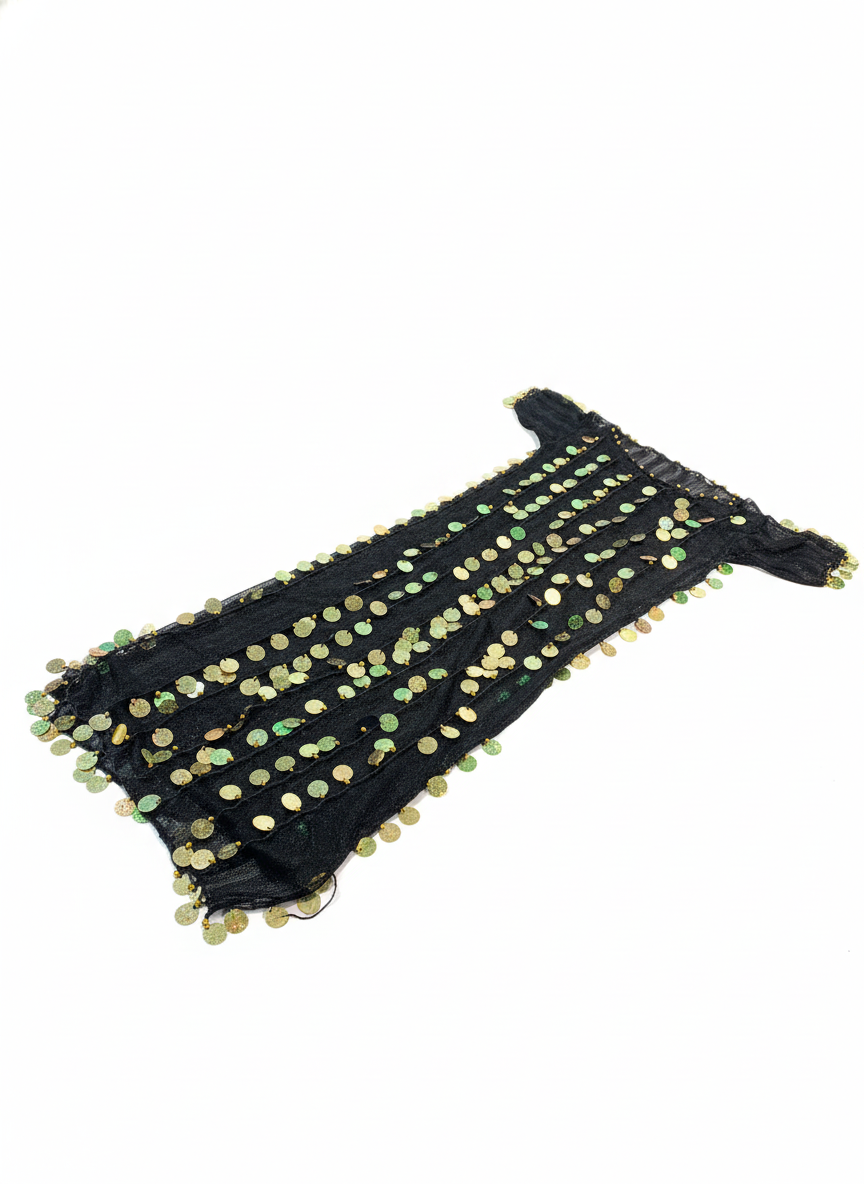 Black Sequin Mesh Costume Dress